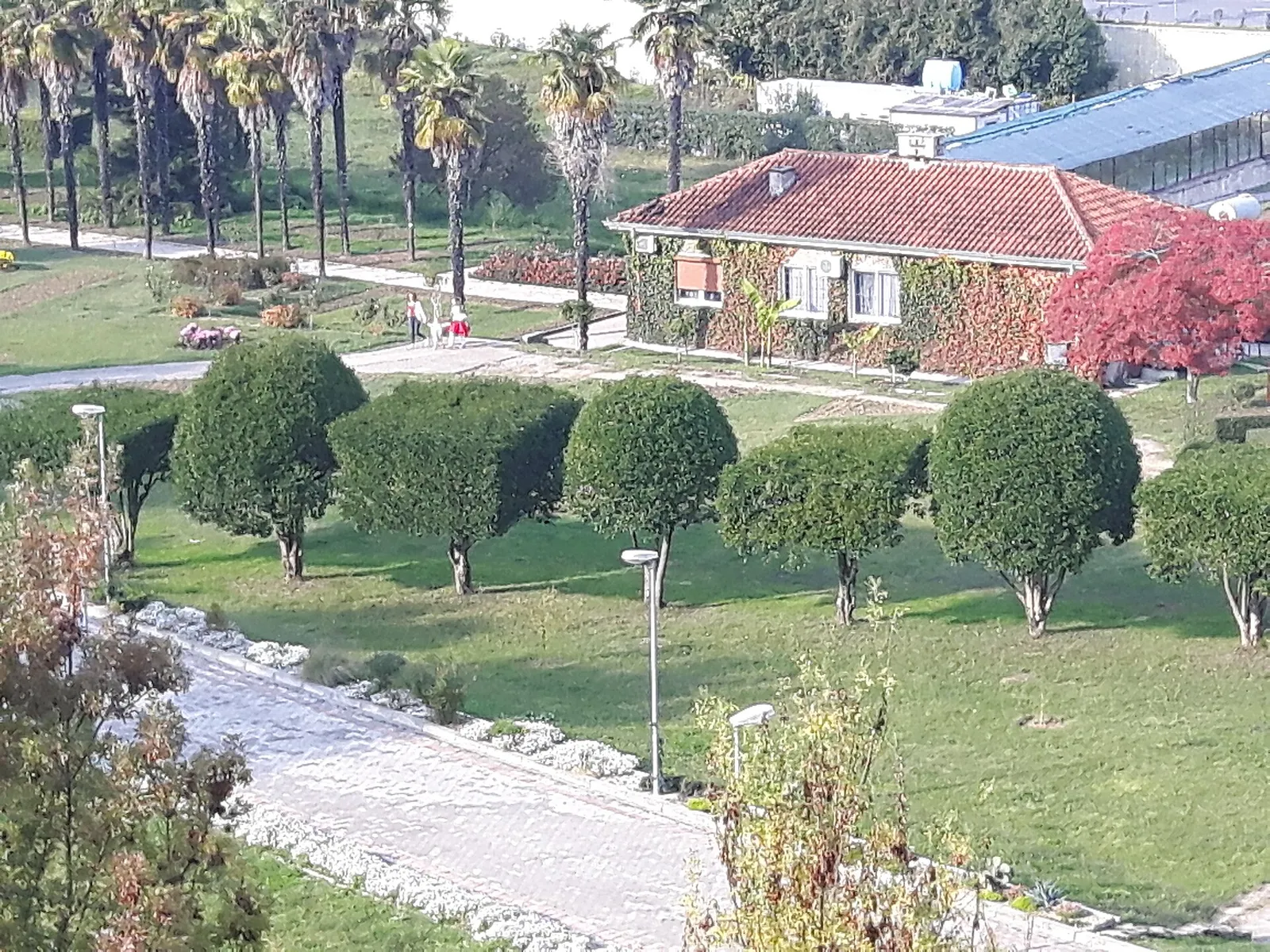 מדשאות ירוקות ושבילים בגן הבוטני בטירנה, מתאים למשפחות