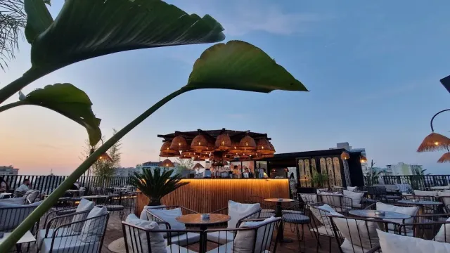 בר עץ מקורה על גג בשעת דמדומים, כורסאות סביבו ועלה גדול בחזית