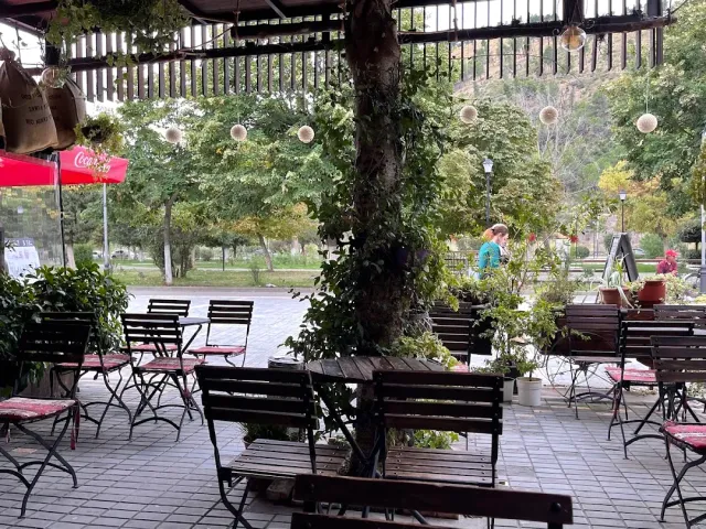 מרפסת מקורה עם ספסלי עץ סביב גזע עץ ופנסים תלויים, וגבעה ירוקה ברקע
