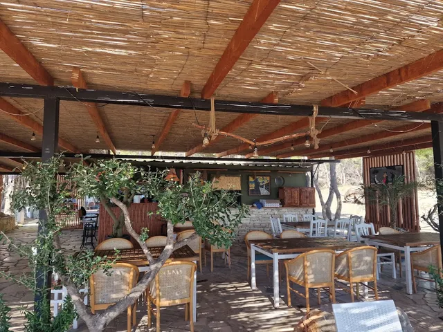 מרפסת מקורה בקנים עם קורות עץ, כיסאות נצרים ועץ זית צעיר בקדמה