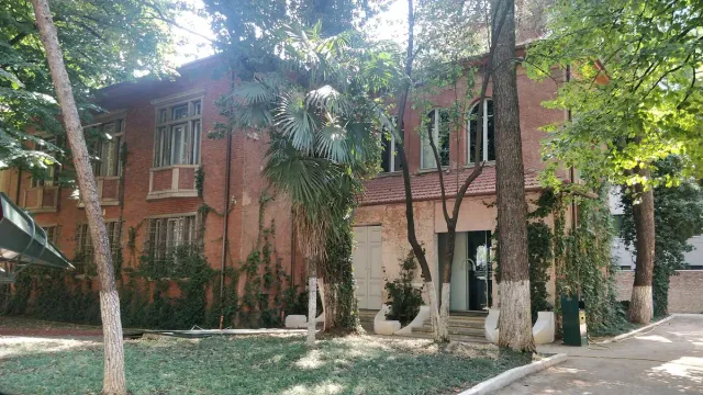 וילת לבנים אדומה מכוסה קיסוס בין עצים גבוהים בגן