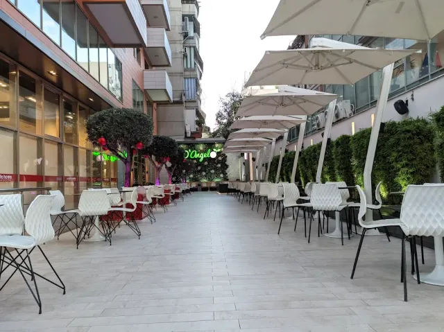מעבר מרוצף עם כיסאות לבנים, שמשיות גדולות ועצי זית מגוזמים בעציצים