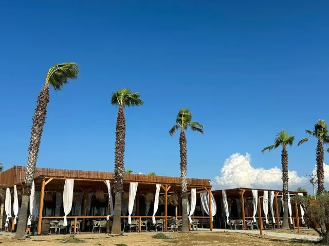 מבנה ישיבה פתוח עם וילונות לבנים, מוקף עצי דקל גבוהים תחת שמיים כחולים