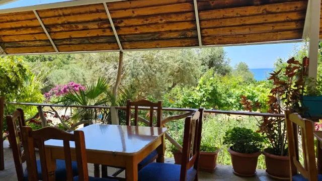 מרפסת מקורה בקורות עץ עם שולחן וכיסאות, צמחייה ירוקה ופס ים באופק