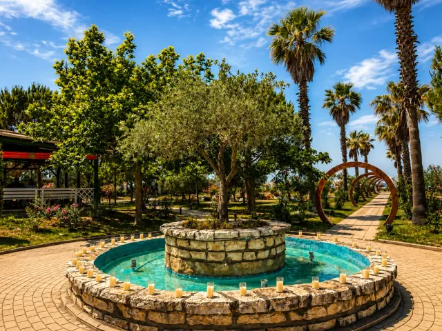 מזרקת אבן עגולה עם עץ במרכז, דקלים גבוהים ושביל מרוצף בגן